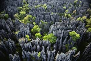 Muy Interesante México ¡Imponente bosque de piedras! El Parque Nacional Tsingy de Bemaraha está situado en la región Melaky, en el país africano de Madagascar. Tsingy, en malgache significa 'donde no se puede caminar descalzo'.